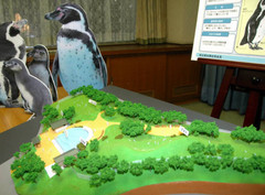 “ペンギン大喜び” 世界最大級展示場 県<b>こども動物自然公園</b> ４月下旬 <b>...</b>